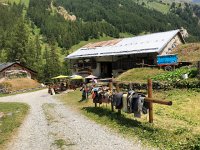 IMG 9355  we walked in the afternoon and found the donkey rental