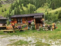 IMG 9358  a very be-flowered cabin