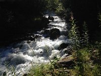 IMG 2906  babbling brook