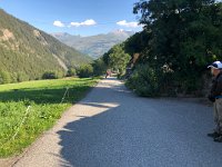 IMG 9367  farm equipment and farm dogs