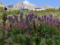 IMG 2917  you can drive (4WD) to the hut