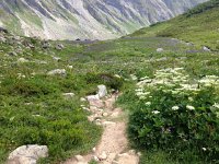 IMG 2937  the weed field comes into view