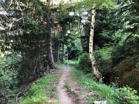 IMG 9380  along an abandonned &#34;bief&#34;