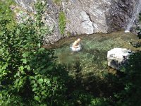 IMG 2992  J-L likes to immerse himself