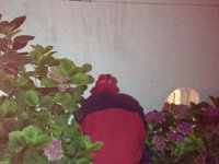 IMG 3037  when last seened, Jean-Christoph was treating a wasp infestation