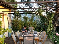 IMG 9465  Cyril quietly waits