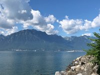 IMG 9112  brilliant light