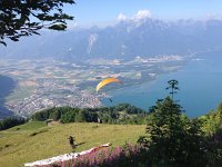 IMG 2640  and another joins