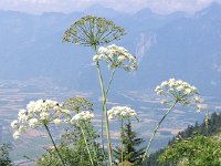 IMG 2649  architecture