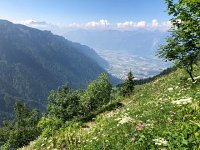 IMG 9149  up the ridge