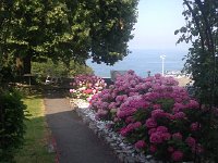 IMG 2615  up in Sonzier