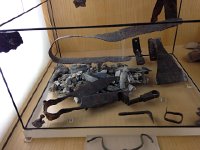 IMG 2349  somebody&#39;s bone from a buried case