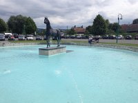 IMG 2374  it&#39;s all about horses