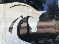 IMG 8708  the stable&#39;s emblem