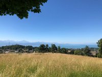 IMG 8711  downlake view from chapel