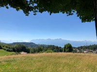 IMG 8712  cross lake view