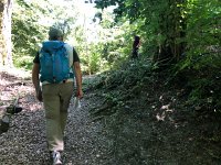 IMG 8717  on the trail