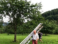 IMG 8758  one needs a ladder in rural areas