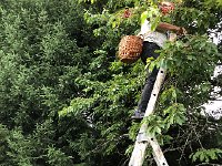 IMG 8760  ladders are now a source of concern