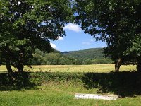 IMG 2455  the sought-after vista