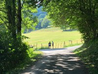 IMG 8821  up the valley