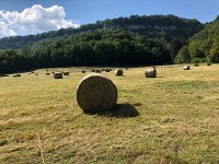 IMG 8823  haying is going full tilt