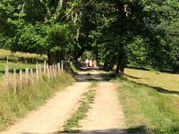 IMG 8828  down the lane