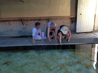 IMG 2518  checking the water