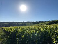 IMG 8847  along the lane