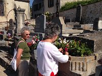 IMG 2521  maintaining the flowers