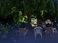 IMG 2538  back out under the pagoda tree