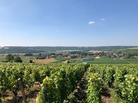 IMG 8872  from the hillside