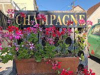 IMG 8895  where we are