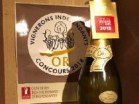 IMG 8896  what I liked