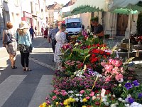 IMG 2552  flowers and vegetables