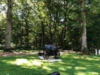 IMG 8937  then an outing to the Bois de Belleau