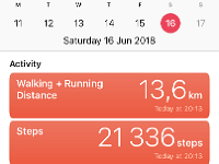 IMG 8626  a decent walk