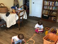 NTOX0204  in Florida