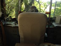 IMG 2026  Leaving the Fairfax dining room...