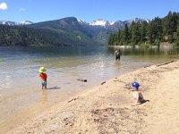 IMG 2087  small waders in Lak Como