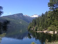 IMG 2090  very high water= trees underwater