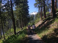IMG 2091  trail starts off paved