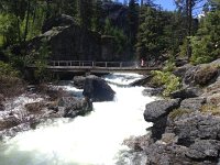 IMG 2100  looking up