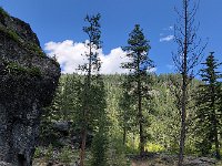 IMG 8129  good that there&#39;s a bridge