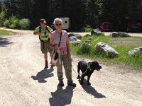 IMG 2115  taking the dog for a walk