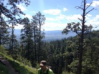 IMG 2118  botanizing