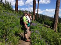 IMG 2123  checking it out