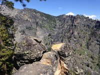 IMG 2129  where is the edge?