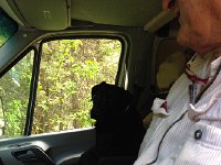 IMG 2140  riding shotgun