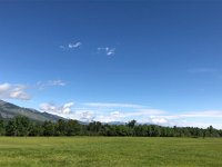 IMG 8384  Bitterroot